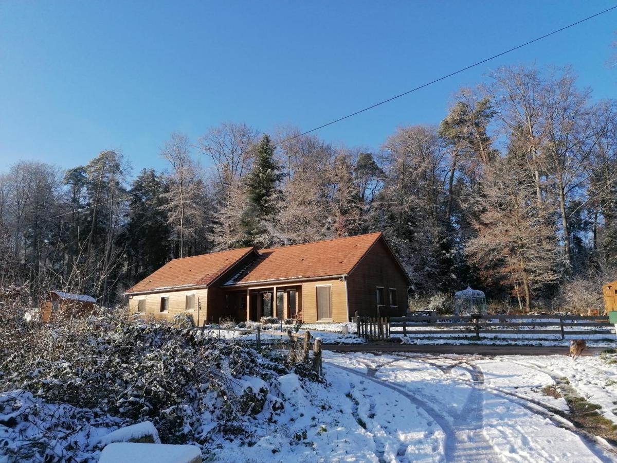 Vosges Chambres D'Hotes Jeanmenil Екстер'єр фото